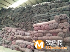 臨沂毛氈廠家直銷，山東毛氈廠家批發(fā)