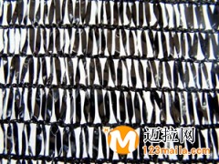 山東三針遮陽(yáng)網(wǎng)廠家,臨沂四針遮陽(yáng)網(wǎng)批發(fā)價(jià)格