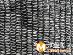 山東三針遮陽(yáng)網(wǎng)生產(chǎn)廠家,臨沂遮陽(yáng)網(wǎng)廠家批發(fā)